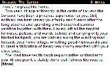 Puddles_on_the_Path_1.png
