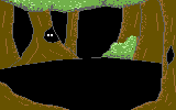 Harak_Iri_4.png