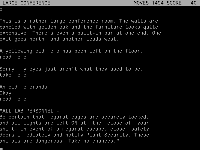 Hermit_s_Secret_Megarat_Memo.png