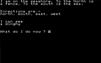 firstroom.png