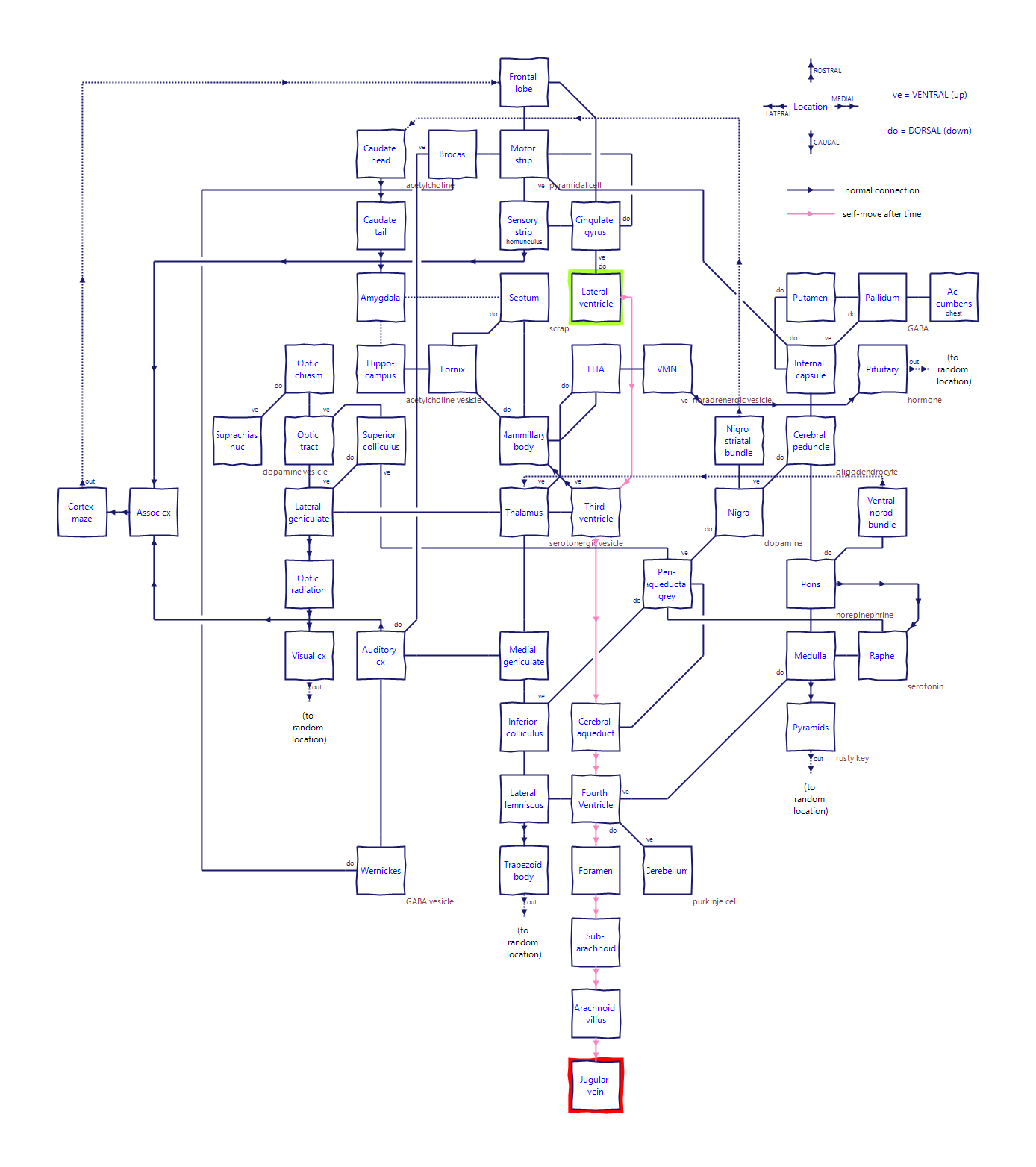 brainscape_map.png